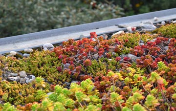 the cost of Beauchamp Roding green roof installation