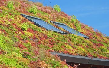 Beauchamp Roding living roof systems